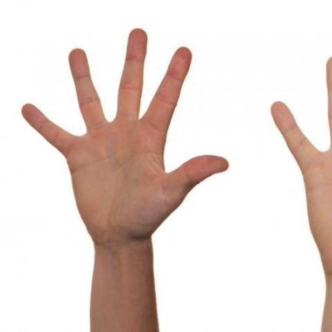 zwei gestreckte Hände