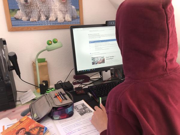 Jugendliche mit Kapuze von hinten am PC sitzend