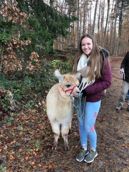 Jugendliche mit weißem Alpaka an der Leine