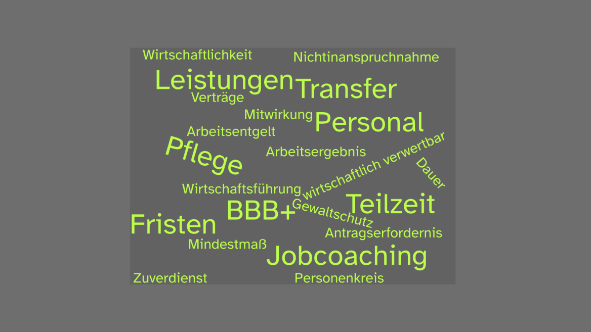 Das Bild zeigt eine Wortwolke mit Begriffen zu rechtlichen Themen von WfbM.