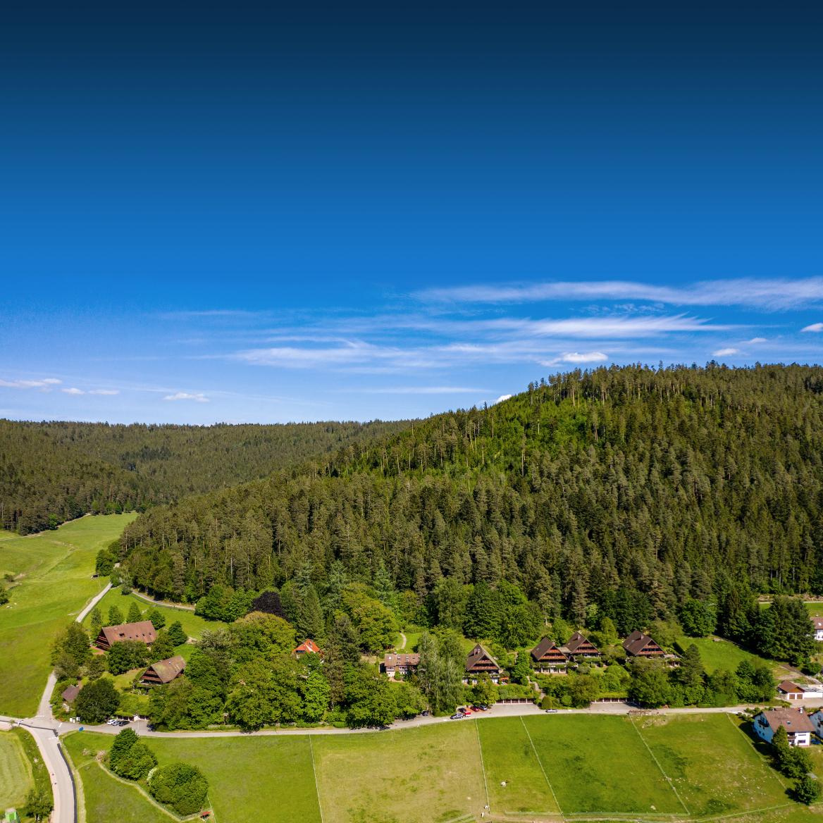 Der Osterhof besteht aus 11 Häusern, die Gruppen, ein Gemeinschaftshaus, einen Stall, eine Küche uvm. beherbergen.